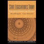 State Legislatures Today Politics Under the Domes