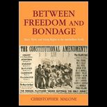 Between Freedom and Bondage  Race, Party, and Voting Rights in the Antebellum North