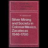 Silver Mining and Society Colonial Mexico