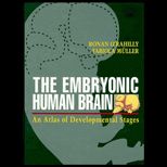 Embryonic Human Brain : An Atlas of Developmental Stages