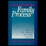 Understanding Family Process  The Basics of Family Systems Theory