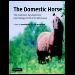 Domestic Horses