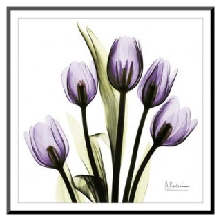 Art   Tulip in Purple Mounted Print