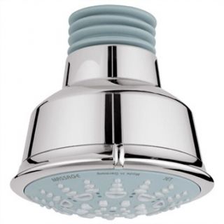 Grohe Relexa Rustic Shower Head   Sterling Infinity Finish