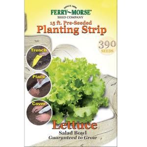 Ferry Morse 15 ft. Lettuce Salad Bowl Seed Strip 812