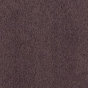 Home Decorators Collection Cottonwood III Solid   Color Brownie 12 ft. Carpet 0408D 37 12