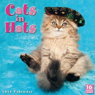 Cats in Hats   2014 Calendar  