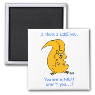 Cute Funny Squirrel Fridge Magnet