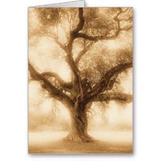 Live Oak   MW1100 Greeting Cards