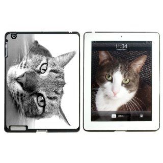 Domestic Shorthair Tabby Cat   Snap On Hard Protective Case for Apple iPad 2 3 4   Black: Computers & Accessories