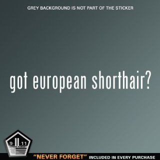 (2x) Got European Shorthair Logo sticker vinyl decals: Automotive