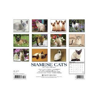 Siamese Cats 2014 Wall Calendar: Willow Creek Press: 9781607559375: Books