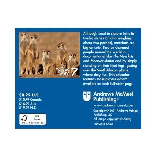 Meerkats: 2012 Mini Day to Day Calendar: LLC Andrews McMeel Publishing, Tamara Haus: 9781449406042: Books