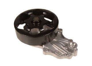 ACDelco 252 865 Professional Water Pump Kit: Automotive