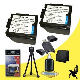 Two Halcyon 4000 mAH Lithium Ion Replacement VW VBG260 Battery + Memory Card Wallet + SDHC Card USB Reader + Deluxe Starter Kit for Panasonic HDC HS700 9.15MP HD Digital Camcorder and Panasonic VW VBG260: Electronics