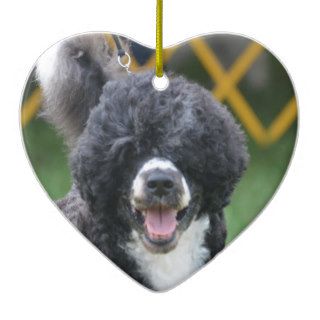 Portuguese Water Dog Ornaments