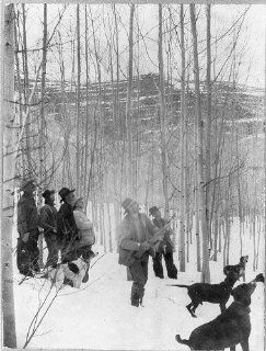 Photo: Theodore Roosevelt, Alexander Lambert, Hunting, dogs, ready to shoot, July 19, c1905   Prints
