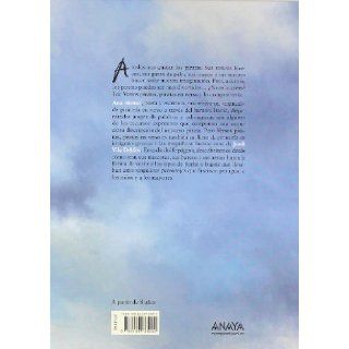 Versos piratas, piratas en verso / Pirate Verses, Pirates in Verse (Spanish Edition): Ana Alonso, Jordi Vila: 9788466785020: Books