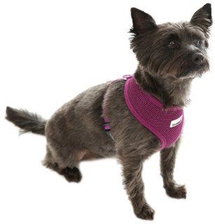 Doodlebone Dog Harness   Purple Small : Pet Halter Harnesses : Pet Supplies