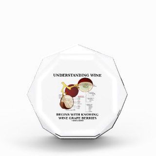 Understanding Wine Begins With Knowing Wine Grape Awards