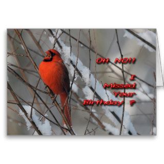 Red Cardinal In Snow   Belated Birthday Card