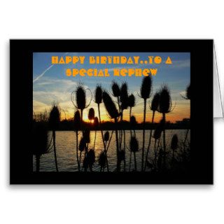 Happy Birthday..To A Special Nephew Greeting Cards