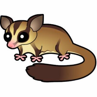 Cartoon Sugar Glider (cinnamon) Photo Cut Outs