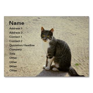 Striped cat business card template