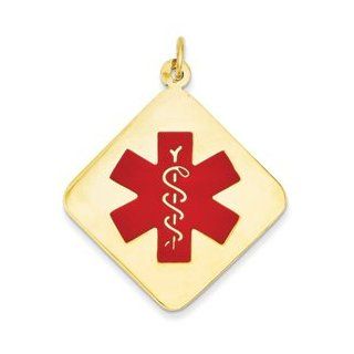 14k Medical Jewelry Pendant Cyber Monday Special: Charm Jewelry Brothers Pendant: Jewelry