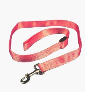 Aviditi AL503 L LED Lighted Dog Leash, Pink with Pink LED Lights, Large : Pet Leashes : Pet Supplies