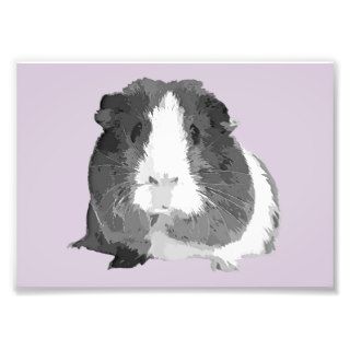 B&W 'Betty' Guinea Pig Print (Frames Available) Photo