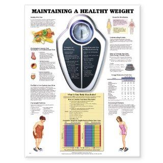 Maintaining A Healthy Weight (9781587794100): Anatomical Chart Company: Books