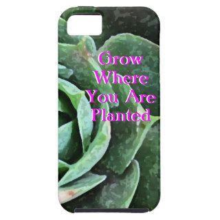 Rose Succulent personalized Iphone 5 Case For iPhone 5/5S