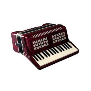 Parrot Piano Accordion 24 Bass 32 Keys T5007: Musical Instruments