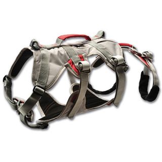 Ruff Wear DoubleBack Strength Rated Safety Dog Harness   Size: XS/Extra Small,