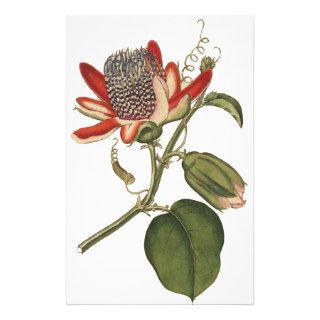 Vintage Passion Flower Custom Stationery