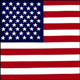 US Flag American USA Stars Stripes Biker Bandana Measures 22x22 Doo Rag BAN 0054: Everything Else