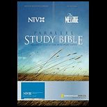 Message Parallel Study Bible Pr Niv/Ms