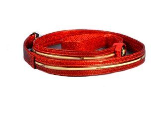 Aviditi BL606 L LED Lighted Dog Leash, Red with Red LED Lights, Large : Pet Leashes : Pet Supplies