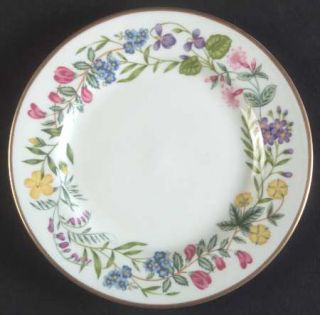 Royal Worcester Fairfield Bread & Butter Plate, Fine China Dinnerware   Multicol