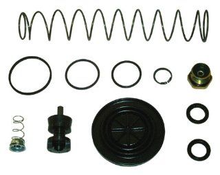 Raybestos MK744 Professional Grade Brake Master Cylinder Repair Kit: Automotive