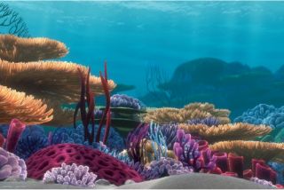 Penn Plax Finding Nemo 20 gal. Tank Background   Aquarium Plants & Decorations
