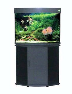 Penn Plax 36 Gallon Corner Aquarium Tank with Stand, Beech : Corner Fish Tank With Stand : Pet Supplies