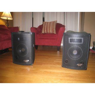 Pyle Pro PADH879 300 Watt 8'' Two Way Speaker Cabinet: Musical Instruments
