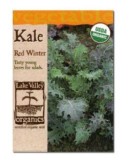 Lake Valley Seed 859 Organic Kale Red Winter Seed Packet, 2gm (Discontinued by Manufacturer) : Vegetable Plants : Patio, Lawn & Garden