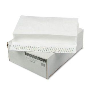 Columbian CO897 Columbian Tyvek Grip Seal 2" Exp Envelopes, 10x15, 100/Box : Large Format Envelopes : Office Products