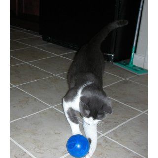 Petsafe SlimCat Meal Dispensing Cat Toy, Blue  Pet Toy Balls 