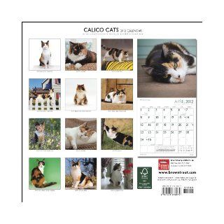 Calico Cats 2012 Square 12X12 Wall Calendar (Multilingual Edition): BrownTrout Publishers Inc: 9781421676074: Books