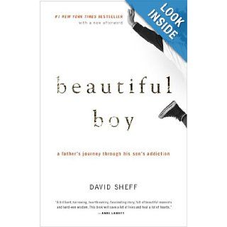 Beautiful Boy A Father's Journey Through His Son's Addiction David Sheff 9780547203881 Books