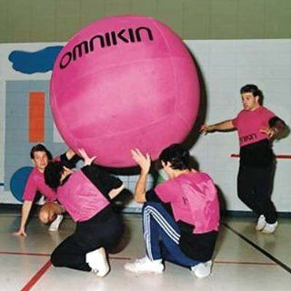 One Pink 4 ft. Omnikin Kin Ball including a Kin Ball Bladder  Playground Balls  Sports & Outdoors